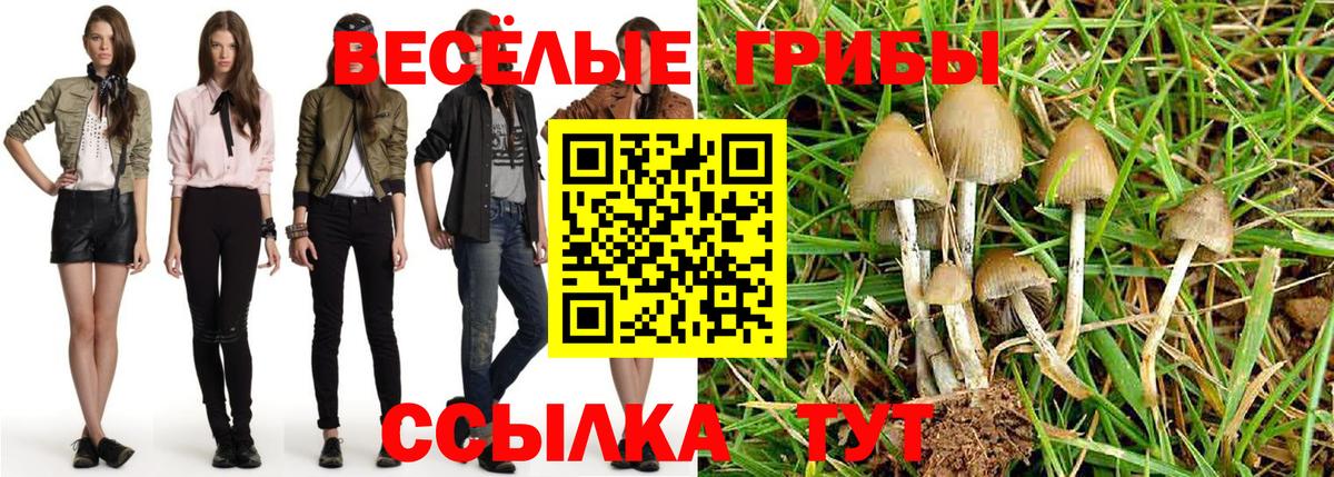 Артёмовский  Галлюциногенные грибы MAGIC MUSHROOMS  Вход с VPN  Псилоцибиновые грибы Psilocybine cubensis 